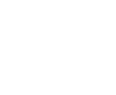Bruno Brian Logo